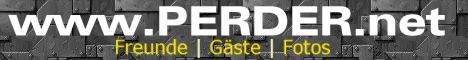 www.PERDER.net